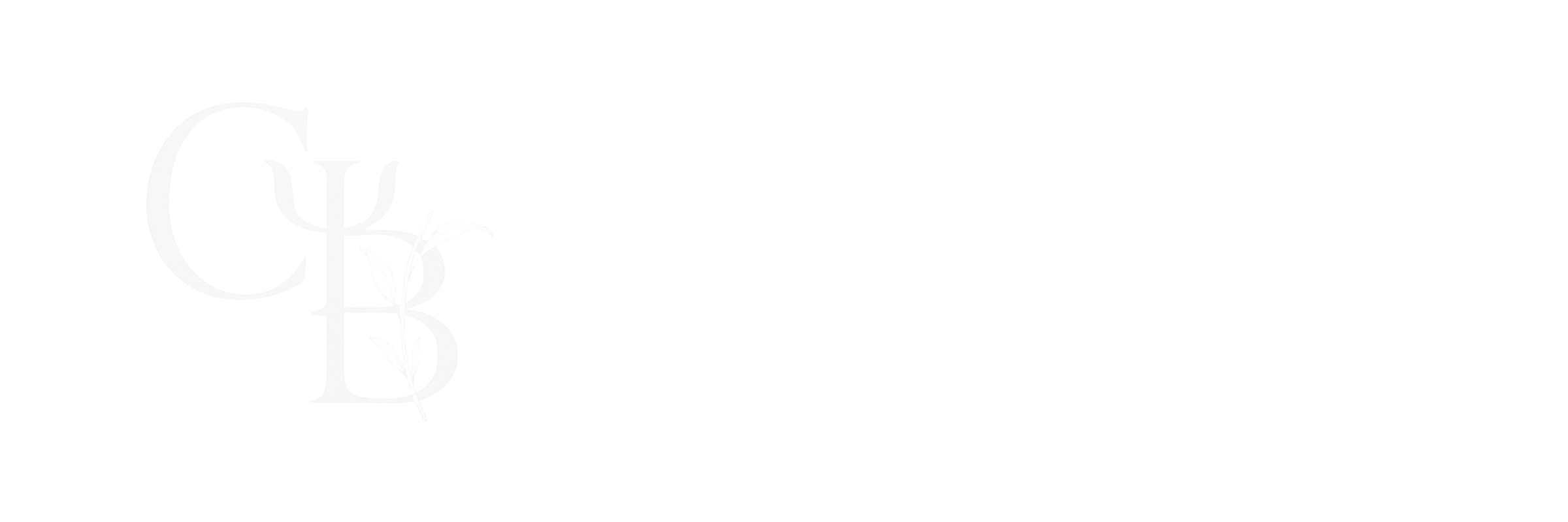 Dr Caio Bruno logo (4)